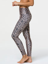 Leopard High Rise Legging